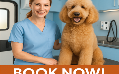 Pet Services (Grooming, Boarding, Vets)